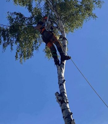 515437917_122119887290942503_3049747690913759006_n