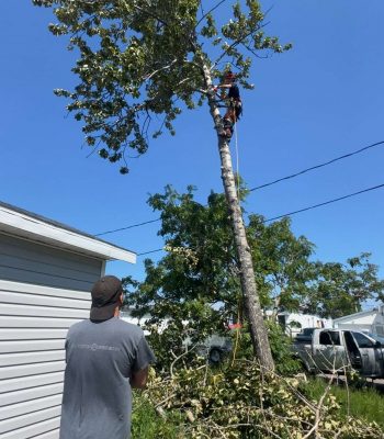 518216964_122099698982942503_6078010055942119244_n