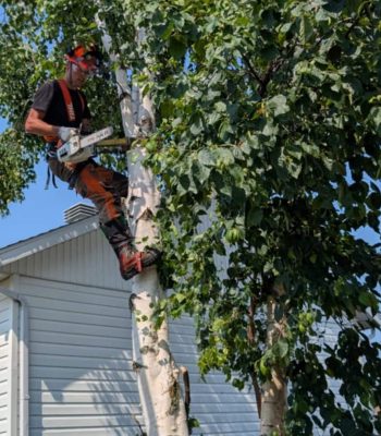 518246939_122099699168942503_7824206355995086563_n