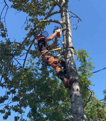 519139214_122099661626942503_7168755806759259941_n