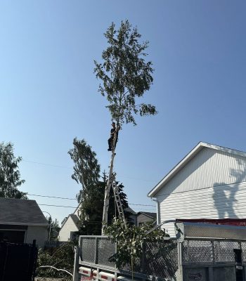 531918692_122117478512942503_1125698386386465337_n