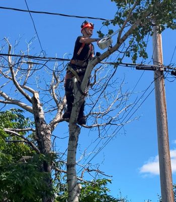 532257700_122117852528942503_4979095689996956113_n (1)