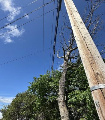 533146452_122117852558942503_6538421098903870710_n