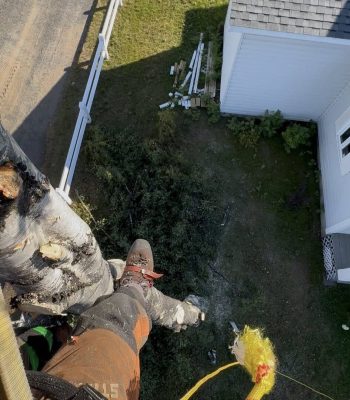 536285394_122119886870942503_7743047638614026886_n