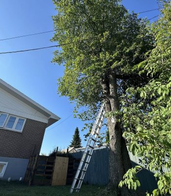 540760907_122123441870942503_891017872443727494_n