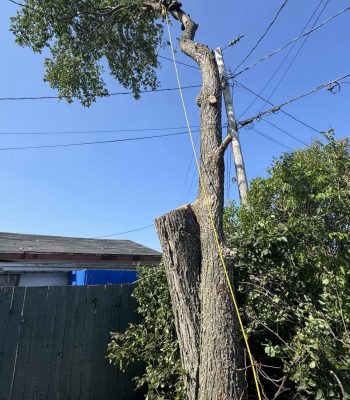 541418660_122123441858942503_607608262956386080_n