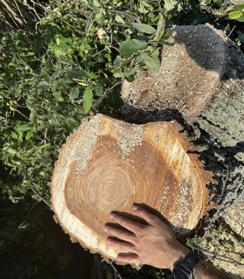 542215171_122123441894942503_7255925403119425896_n